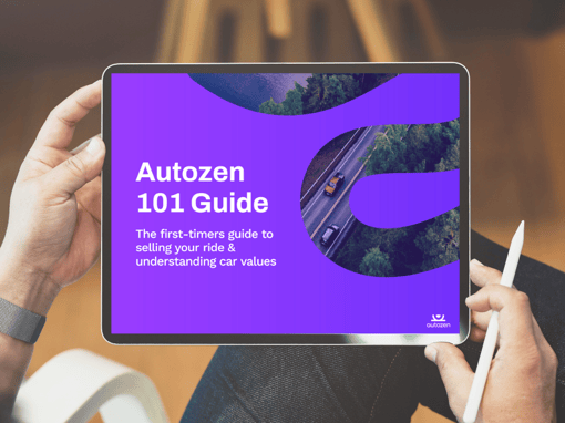 Autozen_beginners_guide
